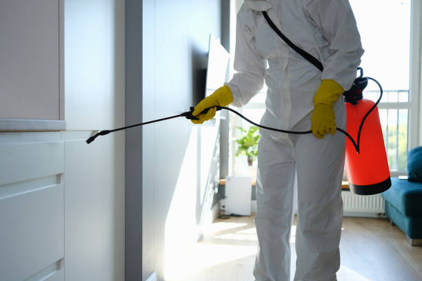 Best Commercial Mold Removal  in Crandon, WI